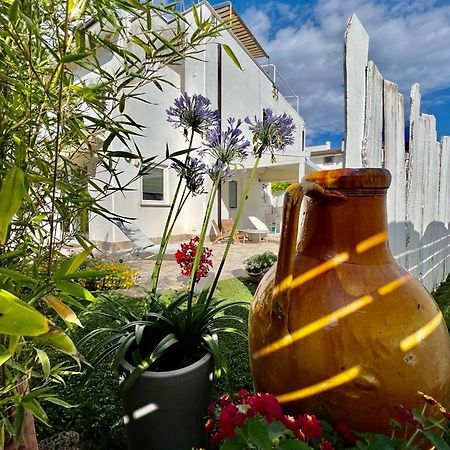 Casa Mila White Villa Marina di Cerveteri Bagian luar foto