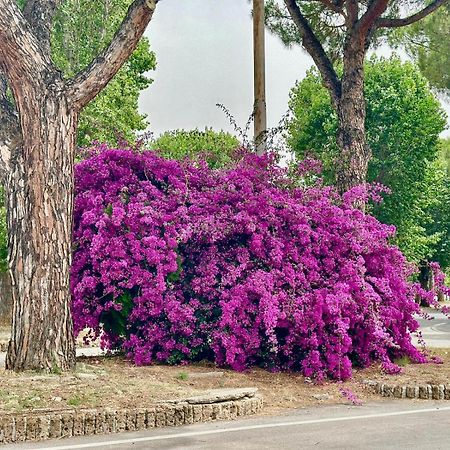 Casa Mila White Villa Marina di Cerveteri Bagian luar foto