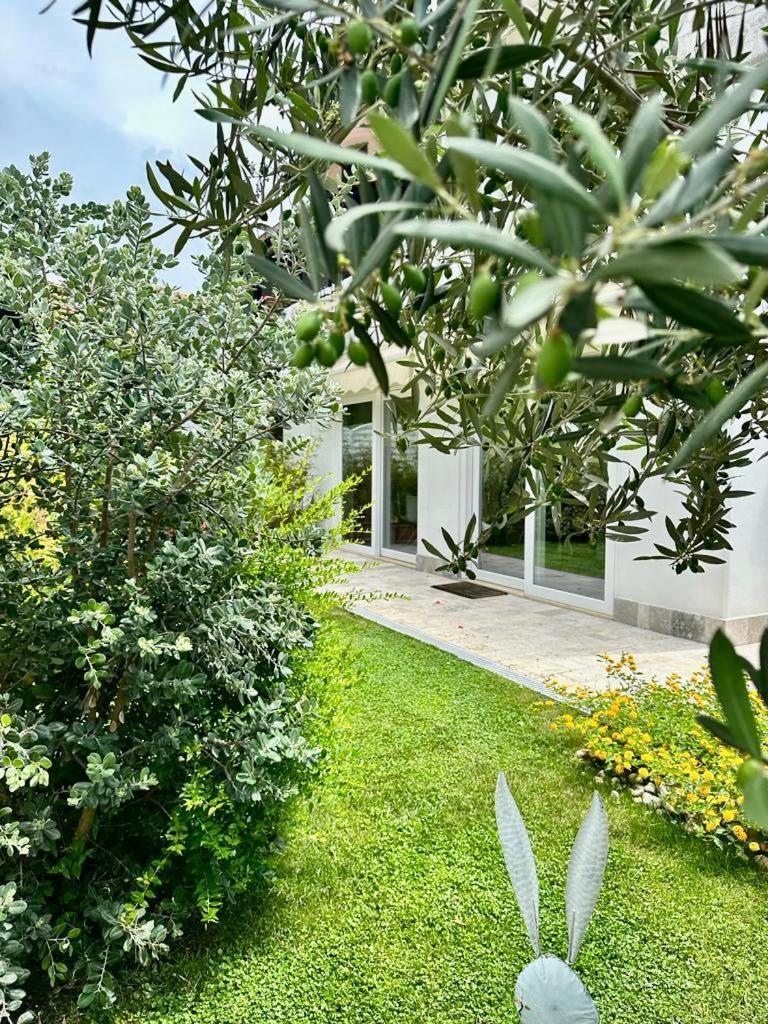 Casa Mila White Villa Marina di Cerveteri Bagian luar foto